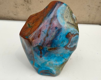 2376gr(FS.36) Master rare Small Blue Brown special multicolor of Petrified Wood for collection, decorations and rooms display.