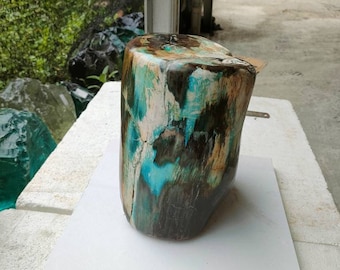 12kg(H021) Dimensions: (23x19)cm Beautiful mix colours "green brown Blue" of agatized petrified wood full polished surface.