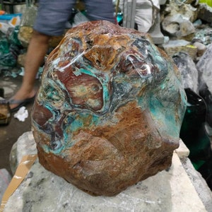 44.7kgskgs(596) The monster rare pieces&quot;red,blue,yellow&quot; of agatized petrified wood full polished surface rare collection limited item