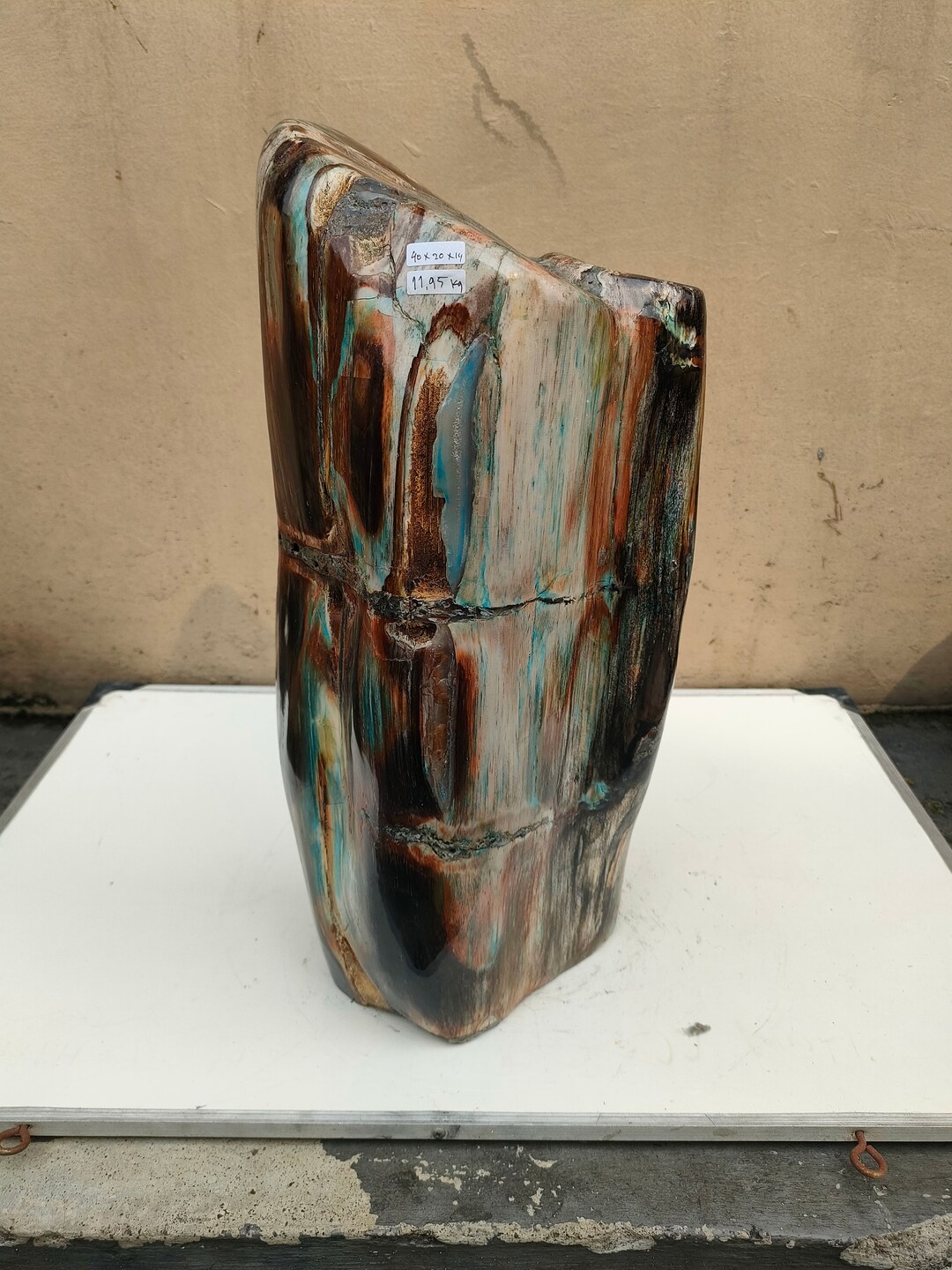 11.95kgfs.45master Rare Big Blue Yellow Black Yellow Specia of