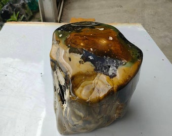 13.7kg(H028) Dimensions: (22x24)cm Beautiful mix colours "Green white black brown" of agatized petrified wood full polished surface.