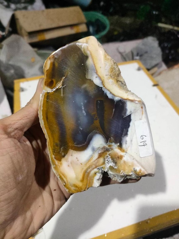 Kids’ Crafts Fossils & Specimens Rare multicolor specialmix white,blue