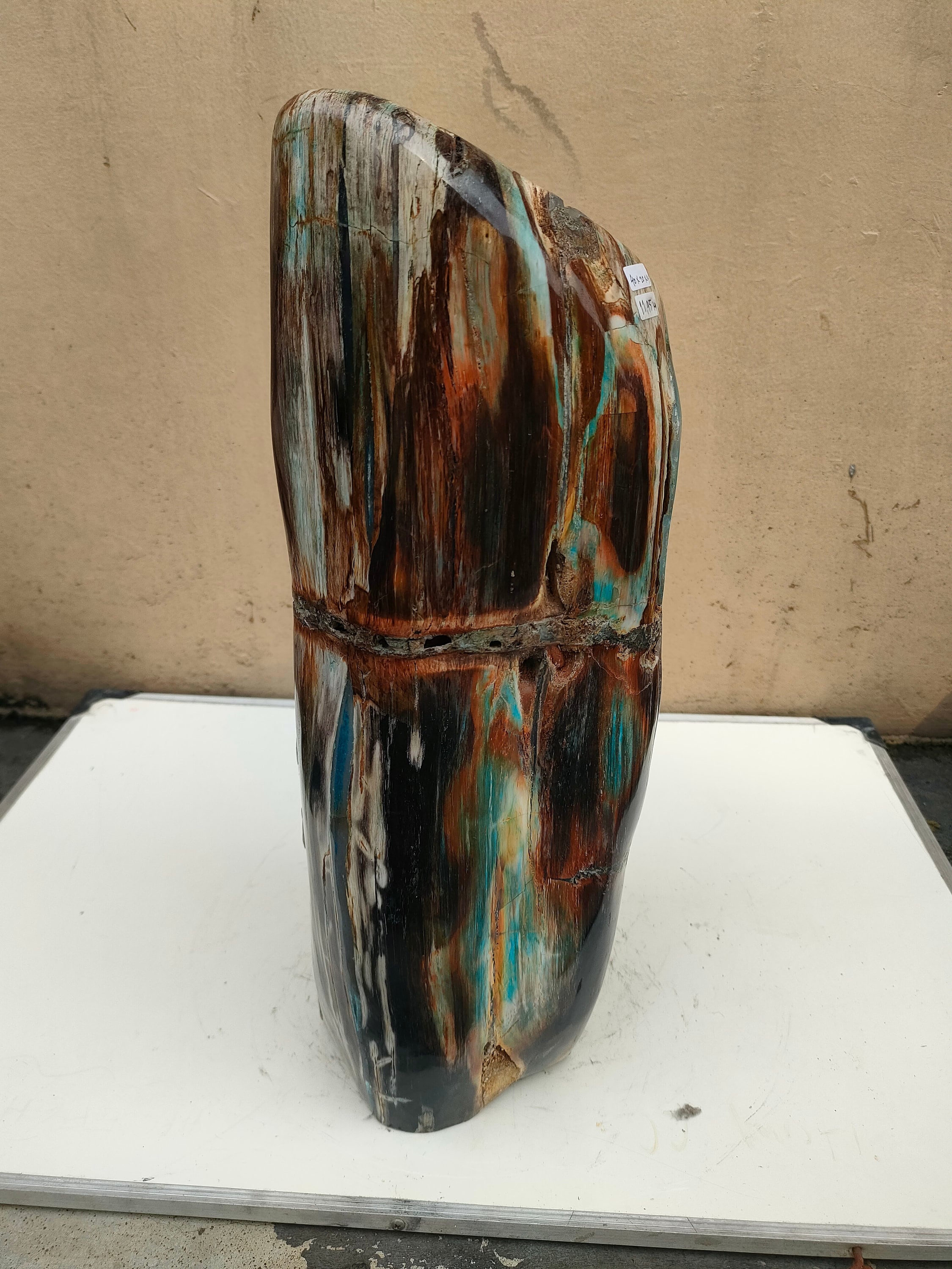 11.95kgfs.45master Rare Big Blue Yellow Black Yellow Specia of