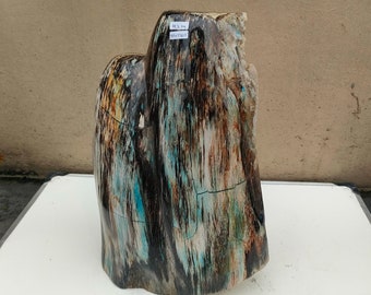 Natural Sparkly Petrified Wood Statement Piece: XLarge 7