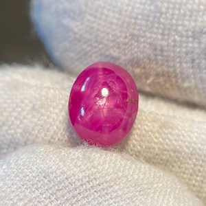 Puede incluir: Un rubí estrella en cabujón de forma ovalada que muestra un efecto de estrella de seis puntas sobre su superficie de color rojo rosado intenso. La piedra preciosa se sostiene entre dos dedos cubiertos con guantes de tela blanca, resaltando su acabado pulido.