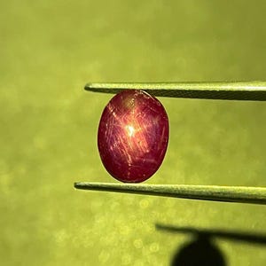 以下が含まれることがあります： 金属製のピンセットで保持された、楕円形の深い赤色のスター・ルビーの宝石。石の表面にはアステリズムとして知られる特徴的な6条の星の効果が中央に現れており、石とピンセットの影が下部に映し出されています。