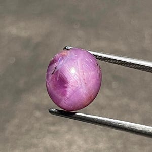 May include: A polished, oval-shaped, pink gemstone held by tweezers. The gem has a star-like effect, with lines radiating from the center. The stone's color is a deep, vibrant pink, and it appears to be a ruby.
