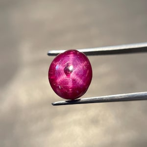 May include: A round, cabochon-cut star ruby gemstone with a deep magenta-red hue. The stone displays a distinct six-rayed star effect, known as asterism, centered on its polished surface. The gemstone is held securely by a pair of metal tweezers.