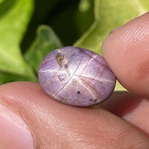 Può includere: Pietra preziosa di rubino stellato ovale, rosa-viola. La gemma presenta un motivo a forma di stella sulla sua superficie. La pietra è tenuta tra due dita, con un fogliame verde sullo sfondo.