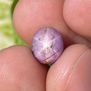 May include: A small, oval-shaped, light purple gemstone with a star-like pattern. The gem is held between two fingers, with a green leafy background. The star pattern is visible on the surface of the gem.