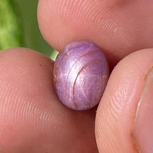 Può includere: Una piccola gemma ovale rosa-viola con effetto stella. La gemma è tenuta tra le dita, mostrando la sua superficie lucida e le linee interne. Lo sfondo è verde e bianco sfocato.