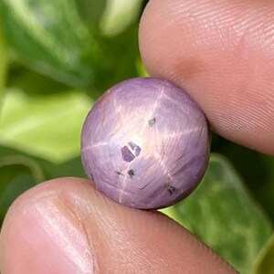 May include: A spherical, lilac-hued gemstone displaying a star-shaped design. The gem is held between two fingers, set against a background of green leaves. The star effect is visible on the polished surface of the stone.