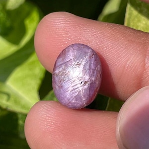 Star Ruby Cabochon | Natural/Untreated (No Heat) | 8ct (13x9.7x5.5)mm | Oval Cabochon | 6 Ray Star | Best for Rings | Loose Gemstone.