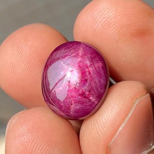 Op de afbeelding: Een gepolijste, ovaalvormige, diep magenta edelsteen. De edelsteen heeft een stervormig effect, met licht dat vanuit het midden uitstraalt. De steen wordt tussen de vingers gehouden, wat de kleur en glans benadrukt. Deze edelsteen is geschikt voor het maken van sieraden.