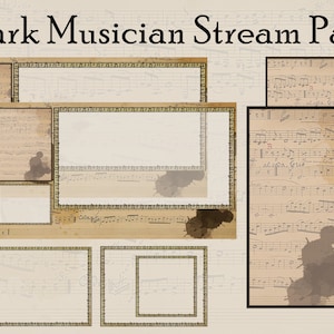 Animated Twitch Stream Package | Dark Musician | Screens, Panels, Alerts, Premade Overlays, Webcam and Game Border for Custom Overlay