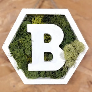 Moss Art - Custom Initial Moss Hexagon, Preserved Moss Art