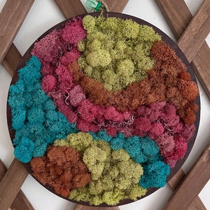 Moss Art - 12 in. round "Psychedelic Sunset", Wall Decor, Moss Wall Art
