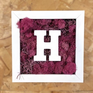 Custom Initial Moss Square, Preserved Moss Art