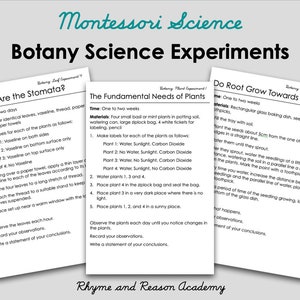 Botany Science Experiments - 22 Biology Command Cards, Montessori Science Printable, Instant Download PDF, Lower Elementary Homeschool