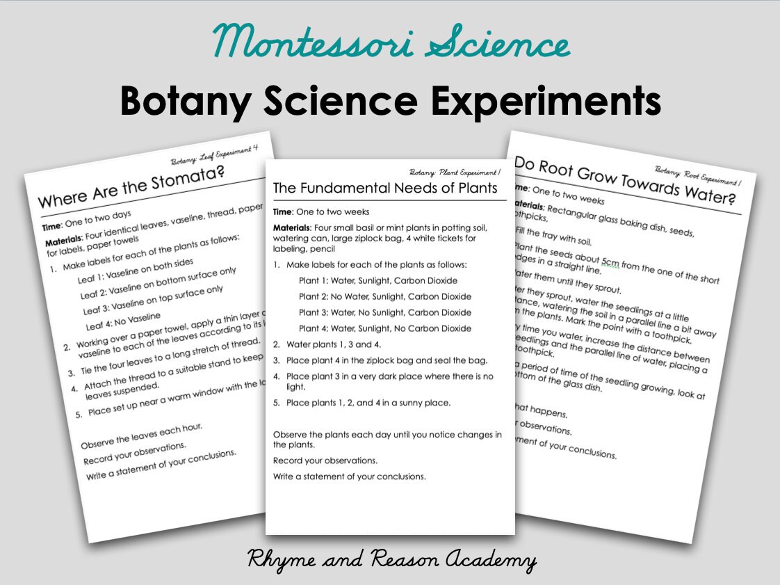 Botany Science Experiments 22 Biology Command Cards, Montessori Science