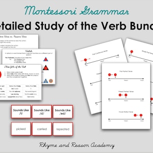 Detailed Study of the Verb Bundle - Montessori Grammar - Parts of Speech, Printable PDF Download, Montessori Lower Elementary