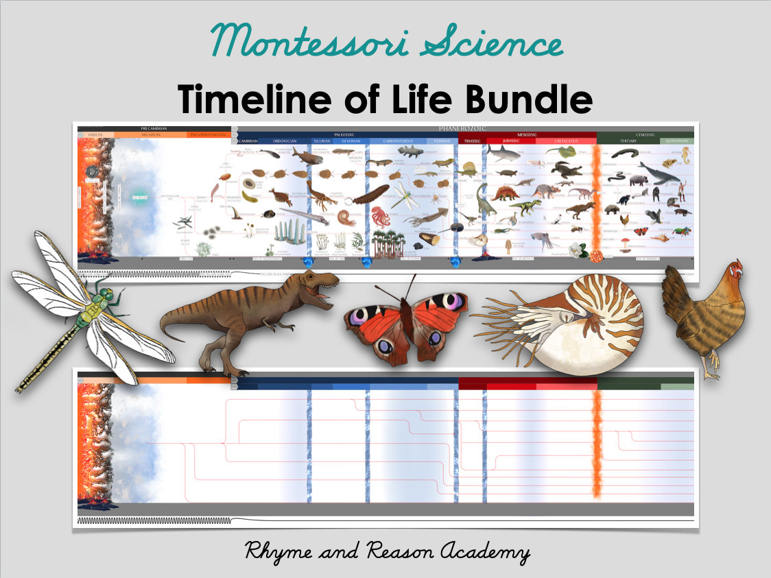 printable-timeline-of-life-bundle-montessori-second-great-lesson-the-coming-of-life-elementary-science-instant-download-pdf-etsy-india for Free Montessori Timeline Of Life Printable Printable Timeline of Life Bundle - Montessori Second Great Lesson, the Coming of Life, Elementary Science, Instant Download PDF - Etsy India for Free Montessori Timeline Of Life Printable