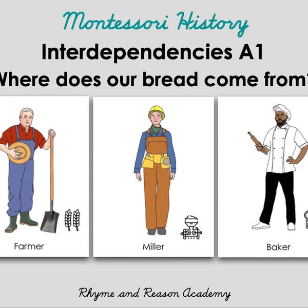 Interdependencies Cards A1 Bread - Montessori Social Studies, Instant Download PDF, Homeschool Printable, Lower Elementary History