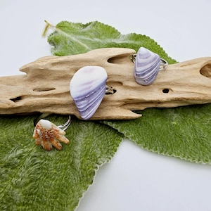 May include: Three rings featuring natural shell focal points. Two rings display smooth, teardrop-shaped shells with white and purple swirling patterns. The third ring features a smaller, textured, fan-shaped shell with orange and white radial ridges.