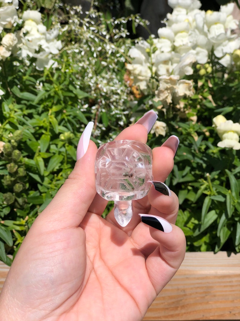 Clear Quartz Small Turtle CarvingChakrasReikiStonesCrystalsMetaphysical