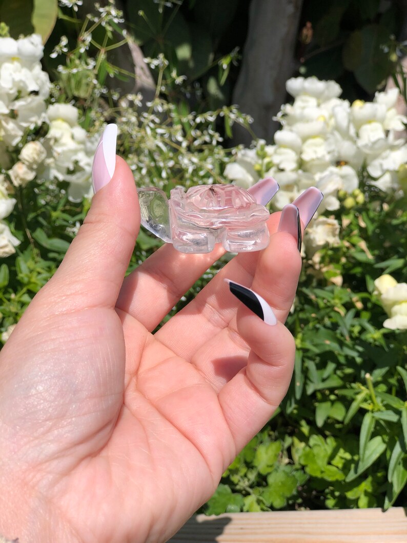 Clear Quartz Small Turtle CarvingChakrasReikiStonesCrystalsMetaphysical