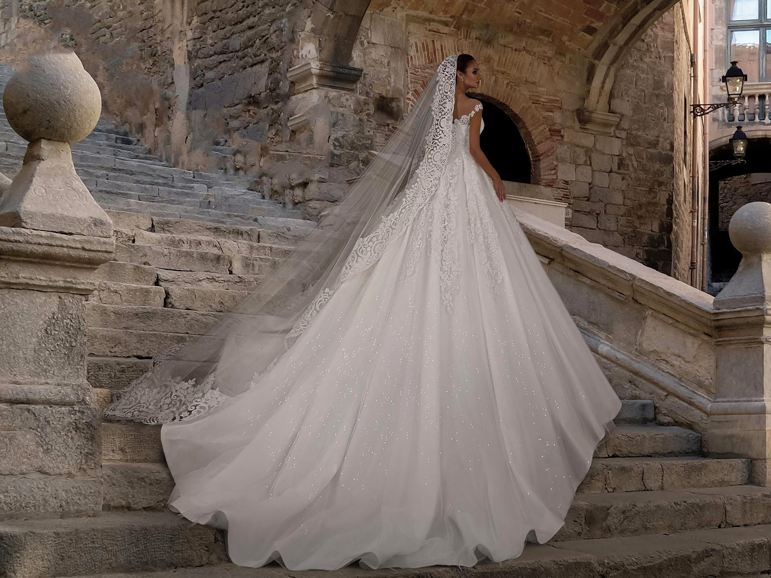 Wedding dress with 2025 long train and veil