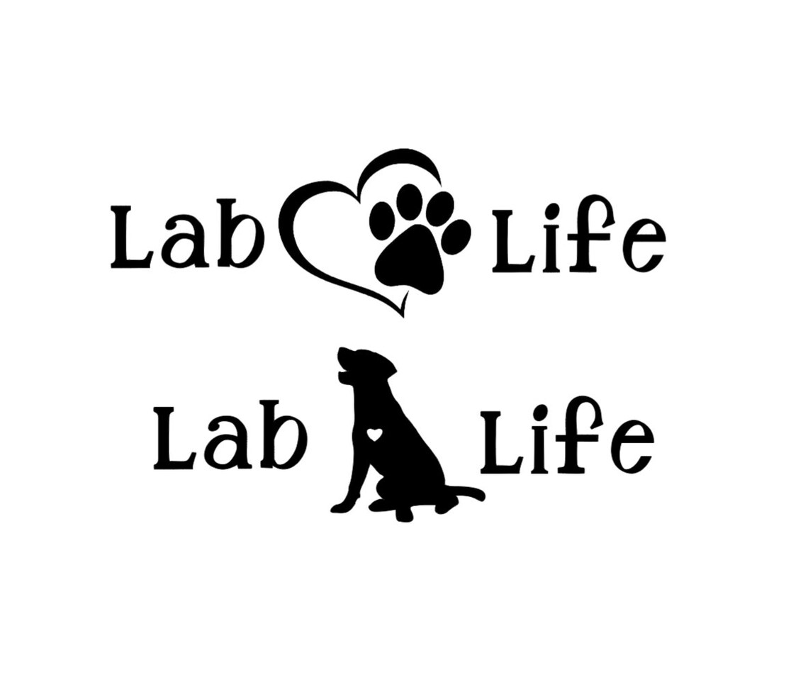 Lab Life Labrador Life Dog Vinyl Decal Sticker Etsy