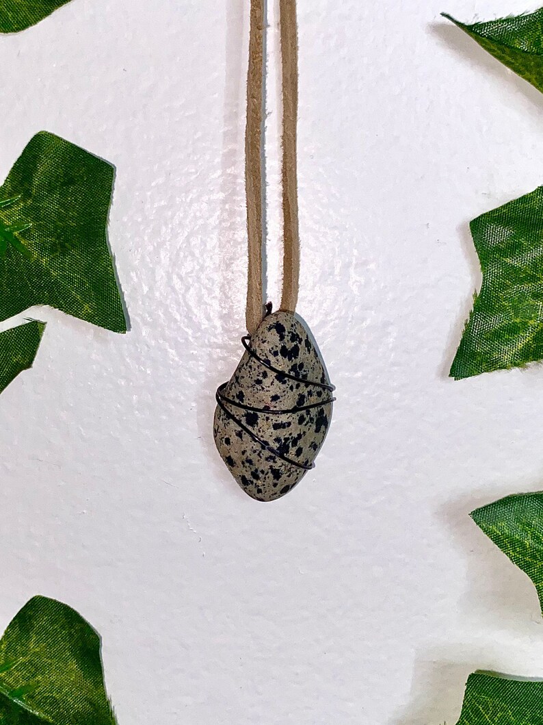 dalmatian jasper crystal necklace