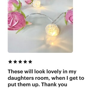 May include: A string of fairy lights with white paper lanterns and pink fabric flowers. The lights are strung on a clear wire and are lit up.