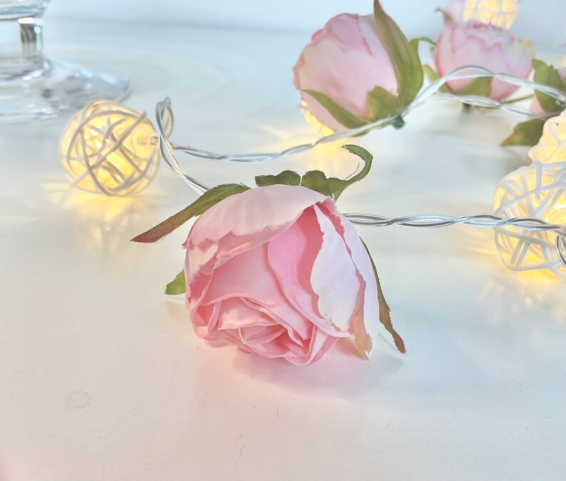 May include: A string of fairy lights with white wicker balls and pink fabric roses. The lights are strung together with clear wire.
