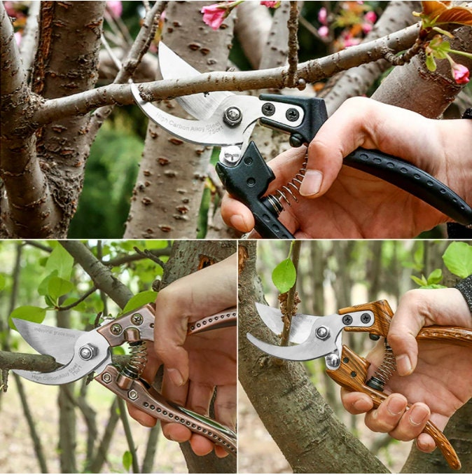 DTBD SK5 Garten schnitt Scheren Baum Trimmer Scheren Hand Etsy
