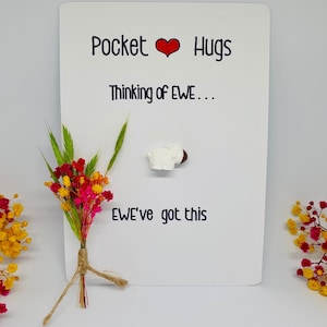 Carte-cadeau Câlins miniature avec poche pour mouton. Cadeau pour un ami, Je pense à vous, Cadeau pour le moral, Cadeau mignon, Mouton en résine, Remplisseur de bas de Noël