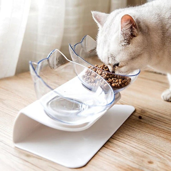 Cat Bowls - Double Cat Dog Food Water Raised Bowl with Stand 15 Tilted Pet Feeder Bowl for Cats and Small Dogs