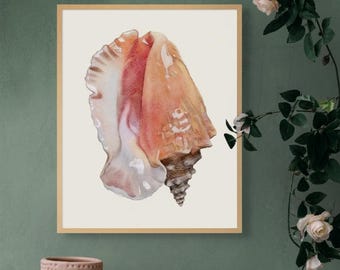 貝殻の絵画 2 - オリジナルの水彩画からのプリント、「ホタテ貝