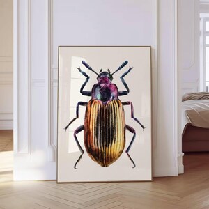 Può includere: Una stampa artistica da parete incorniciata che raffigura l'illustrazione dettagliata di un coleottero. L'insetto ha testa e torace di colore viola metallizzato, con elitre strutturate in tonalità giallo oro, arancione e nero.