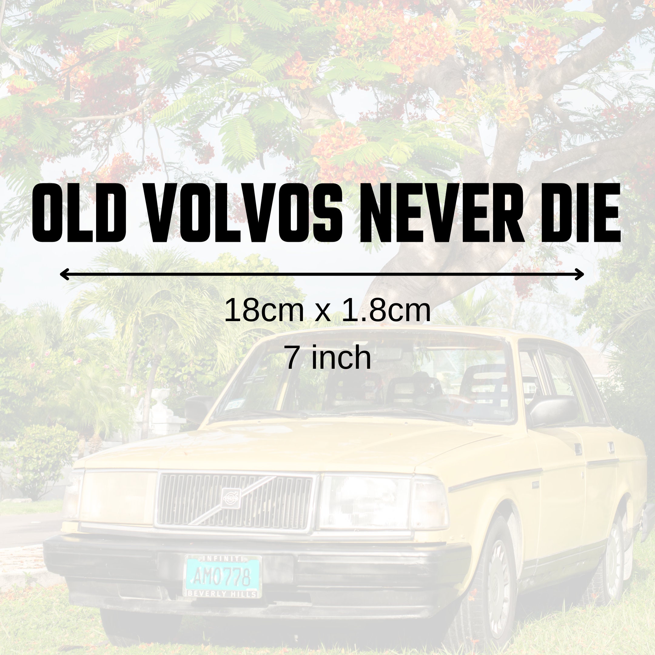Old Volvos Never Die Vinyl Decal Volvo Funny Sticker Drift Rally Dub Stance  Classic Car Slap Swede Swedish the Volv 240 740 Wagen 