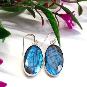 Puede incluir: Pendientes plateados con piedras preciosas azules ovaladas y facetadas. Las piedras tienen un efecto brillante e iridiscente, con destellos azules y verdes. Los pendientes se muestran sobre un fondo blanco, con acentos florales verdes y rosas.