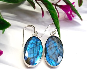 May include: A pair of silver-toned earrings with oval-shaped, faceted blue gemstones. The gemstones have a shimmering, iridescent quality, with flashes of blue and green. The earrings are displayed against a white background, with green and pink floral accents.