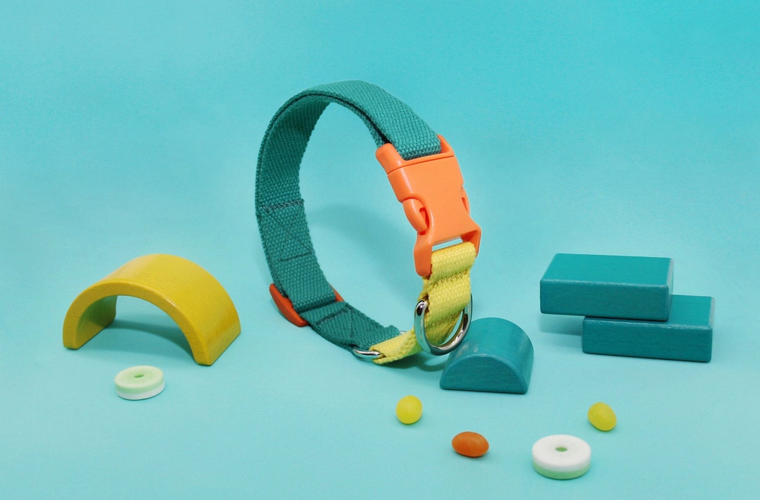 Soft Dog Collar Green Quick Release Collar and Leash Set With Etsy