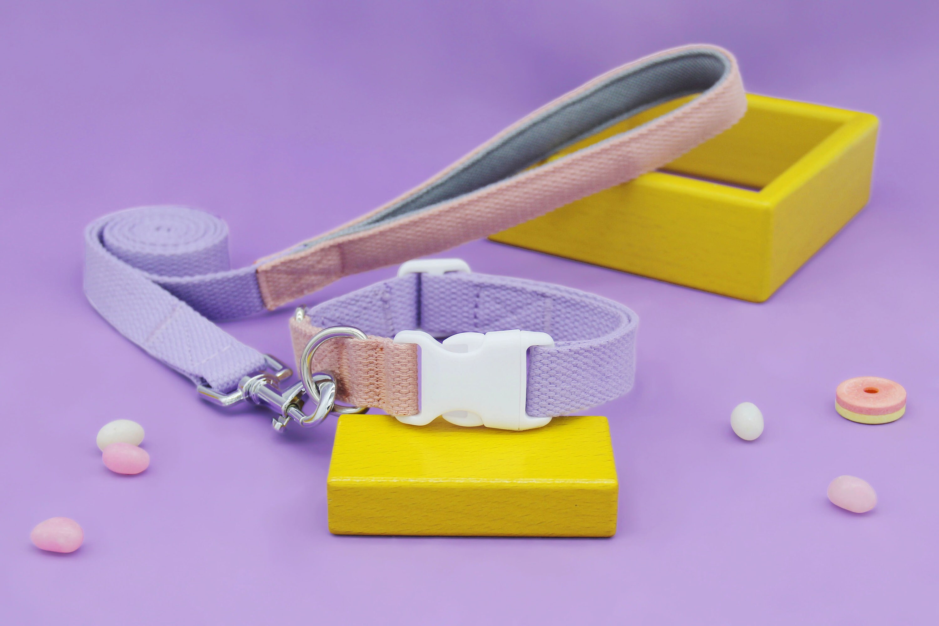 Purple Dog Collar and Leash Set Lilac Designer Matching Etsy UK