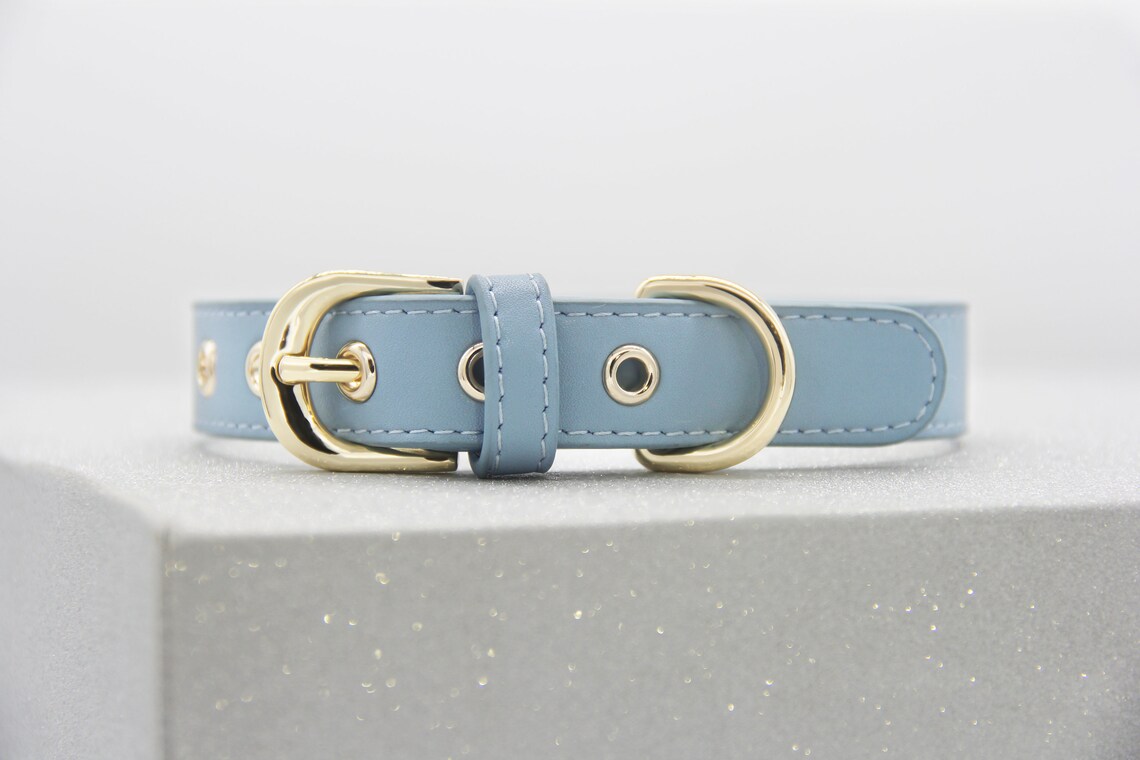 Blue Dog Leather Collar Dual Color waterproof dog collar with Etsy