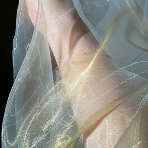 Mahi Luxury Light Gold Organza Embroidered Dupatta/Chunni main image 0