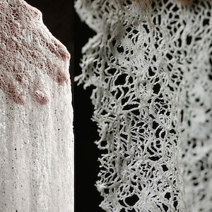 Könnte beinhalten: Ein weißer Häkel-Spitzen-Schal mit einem zarten, filigranen Muster. Die Spitze ist weich und fließend, und der Schal ist perfekt, um jedem Outfit einen Hauch von Eleganz zu verleihen.