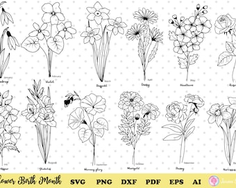 Birth month svg,Birth month bundle,birth month flower svg,Birthday flower svg,Botanical svg, Floral, Flowers svg,daisy svg,birth flower name