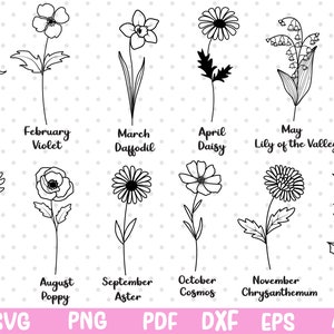 Birth Month Flowers Svg, Flower Daisy, Flower Bundle Svg, Birth Month Floral Svg, Botanical Wildflower Svg, Flower Design, Flower Clipart
